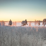 Jeris week 45 12-4696